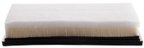 Pronto PA99262 Engine Air Filter - view 4