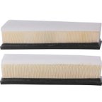 Premium Guard PA99418K Engine Air Filter - Left and Right - view 3