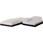 Premium Guard PA99557K Engine Air Filter - Left and Right - view 2