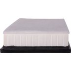 Pronto PA99574 Engine Air Filter - view 6