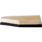 Pronto PA99819 Engine Air Filter - view 3