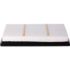 Pronto PA99850 Engine Air Filter - view 4