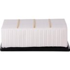 Pronto PA99856 Engine Air Filter - view 3