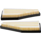 Pronto PA99871K Engine Air Filter - Left and Right - view 4