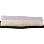 Premium Guard PA99883 Engine Air Filter - view 3