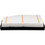 Pronto PA99950 Engine Air Filter - view 4