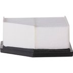 Pronto PA99957 Engine Air Filter - view 5