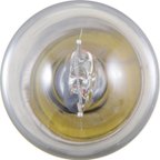 Phillips 1003LLB2 Dome Light Bulb - Rear - view 4