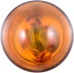Phillips 12396NALLB2 Courtesy Light Bulb - Front, Front Outer or Rear - view 4