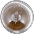 Phillips 1893B2 Clock Light - Front or Rear - view 4