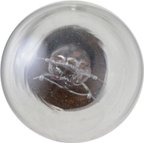 Phillips 2057LLB2 Tail Light Bulb - view 4