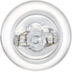Phillips 579LLB2 Dome Light Bulb - Front - view 6