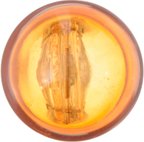 Phillips 7440NALLB2 Fog Light Bulb - Front, Front Inner, High Beam or Rear - view 4