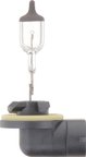 Phillips 896B1 Fog Light Bulb - Front - view 4