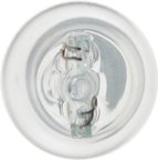 Phillips 922LLB2 License Plate Light Bulb - view 6