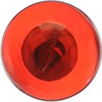 Phillips PR21WC1 Fog Light Bulb - Rear - view 4
