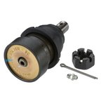 Moog K8685 Suspension Ball Joint - Front Lower - view 3