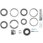 BGMG 10038952 Differential Rebuild Kit - Rear - view 2