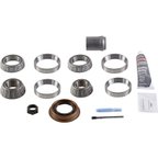 BGMG 10038960 Differential Rebuild Kit - Rear - view 1