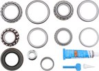BGMG 10040477 Differential Rebuild Kit - Rear - view 3
