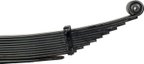 Dorman 22-603 Leaf Spring Assembly - Rear - view 4