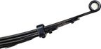 Dorman 34-055 Leaf Spring Assembly - Rear - view 4