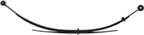 Dorman 43-1297 Leaf Spring Assembly - Rear - view 1
