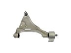 Dorman 520-393 Suspension Control Arm and Ball Joint Assembly - Front Left Lower - view 1