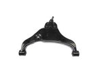 Dorman 521-387 Suspension Control Arm and Ball Joint Assembly - Front Left Lower - view 1