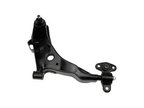 Dorman 521-846 Suspension Control Arm and Ball Joint Assembly - Front Right Lower - view 1