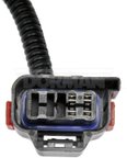 Dorman 645-930 Tail Light Harness - Right - view 3