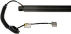 Dorman 747-041 Liftgate Cylinder - Left - view 3