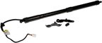 Dorman 747-051 Liftgate Cylinder - Right - view 2