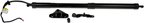 Dorman 747-051 Liftgate Cylinder - Right - view 1