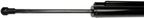 Dorman 747-416 Liftgate Cylinder - Left - view 2