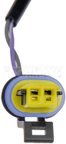 Dorman 901-156 Liftgate Release Switch - view 3