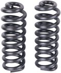 Dorman 929-901 Coil Spring - Front - view 1