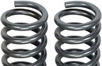 Dorman 929-910 Coil Spring - Front - view 2