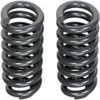 Dorman 929-916 Coil Spring - Front - view 4