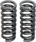 Dorman 929-919 Coil Spring - Front - view 4
