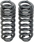 Dorman 929-925 Coil Spring - Front - view 4