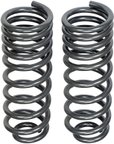 Dorman 929-927 Coil Spring - Rear - view 4
