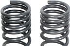 Dorman 929-928 Coil Spring - Rear - view 2