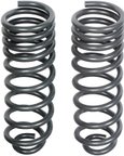 Dorman 929-928 Coil Spring - Rear - view 4
