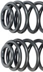 Dorman 929-929 Coil Spring - Rear - view 1