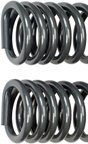 Dorman 929-931 Coil Spring - Front - view 1