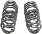 Dorman 929-932 Coil Spring - Rear - view 2