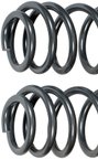 Dorman 929-935 Coil Spring - Rear - view 1