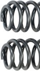 Dorman 929-936 Coil Spring - Rear - view 1