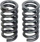 Dorman 929-941 Coil Spring - Front - view 4